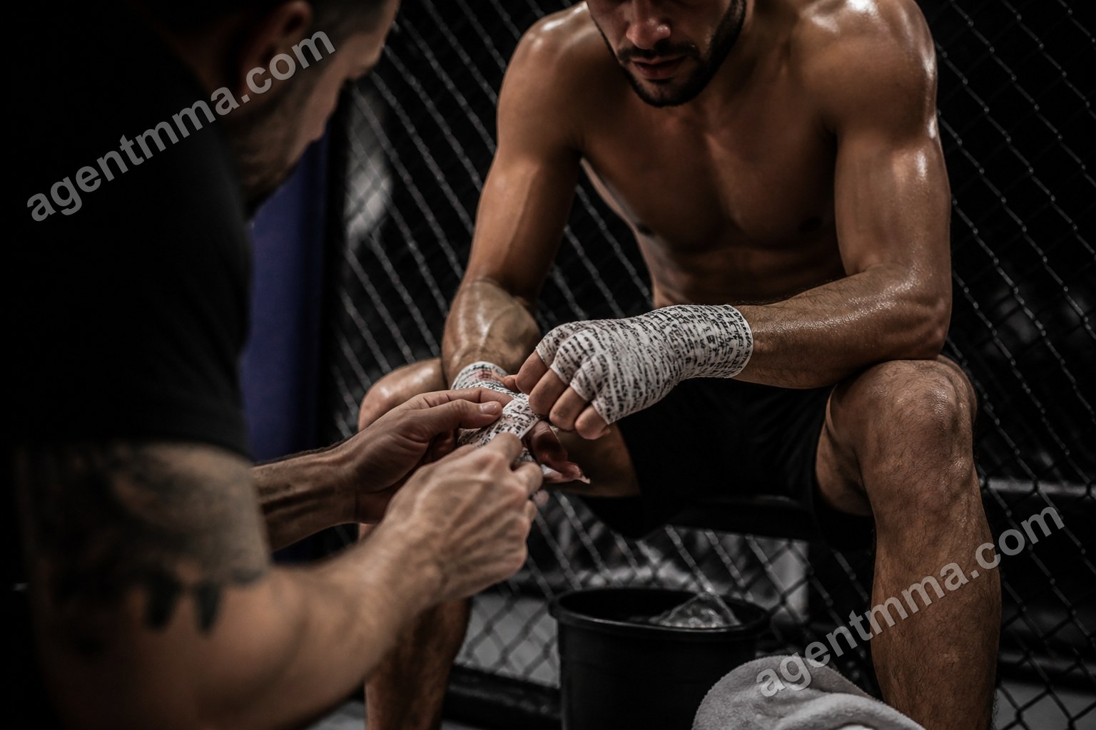 Do UFC Win Streaks Predict the Next Fight? What the Data Says