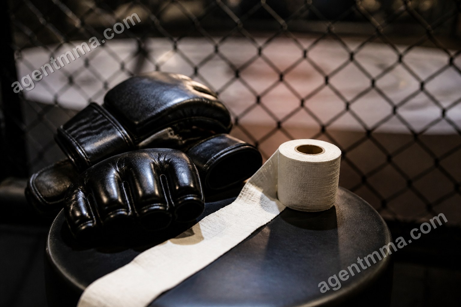 Волкановски — Евлоев: что даст дюйм размаха на UFC 333?