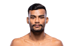 Raulian Paiva